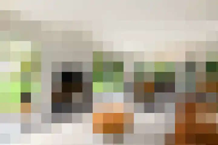 Buitenweg 34 Nieuwehorne thumbnail 6