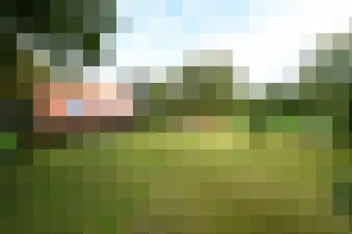 Buitenweg 34 Nieuwehorne thumbnail 60