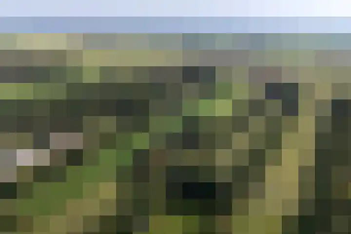 Buitenweg 34 Nieuwehorne thumbnail 61