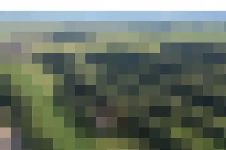 Buitenweg 34 Nieuwehorne thumbnail 62
