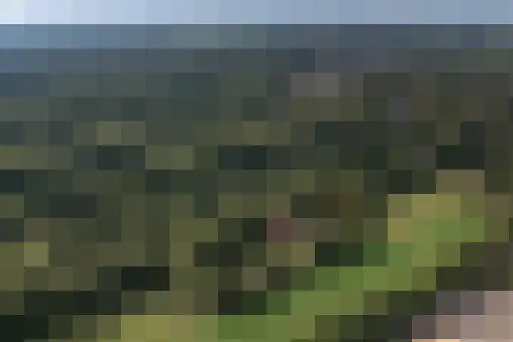 Buitenweg 34 Nieuwehorne thumbnail 63
