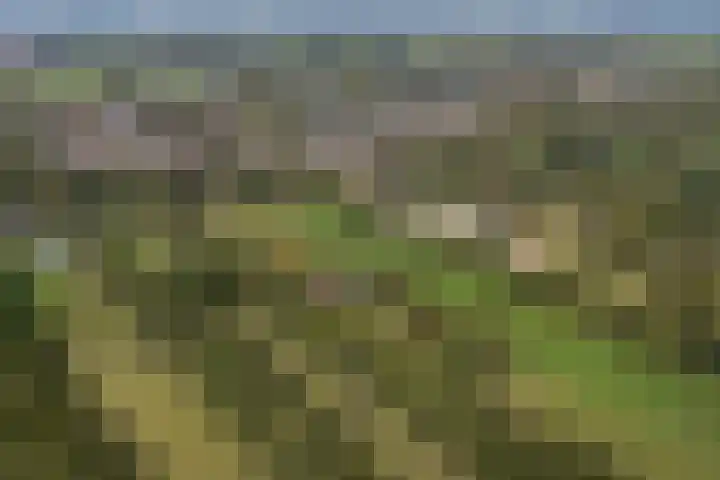 Buitenweg 34 Nieuwehorne thumbnail 64
