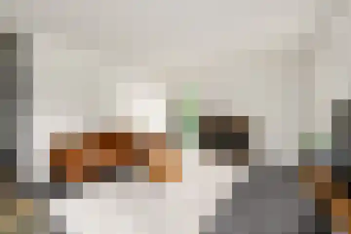 Buitenweg 34 Nieuwehorne thumbnail 7