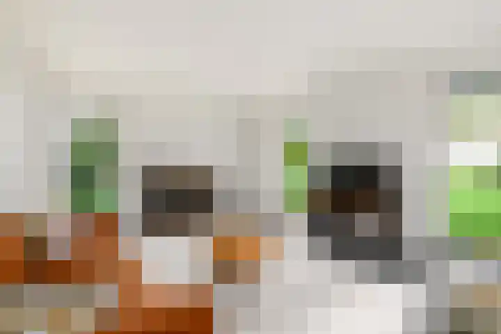 Buitenweg 34 Nieuwehorne thumbnail 8
