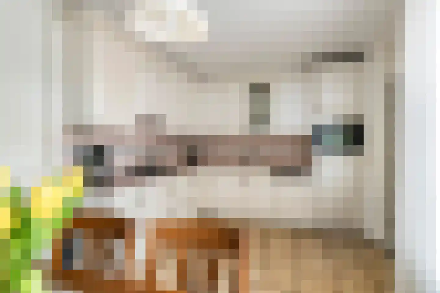 Buitenweg 36 Maurik thumbnail 15