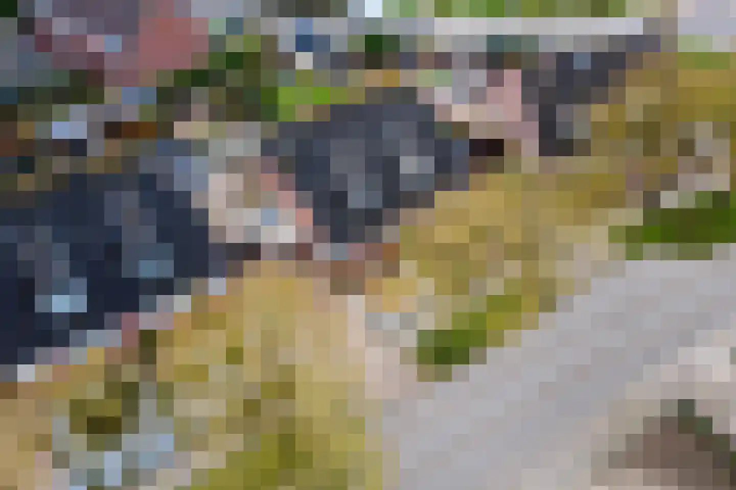 Buitenweg 36 Maurik thumbnail 36