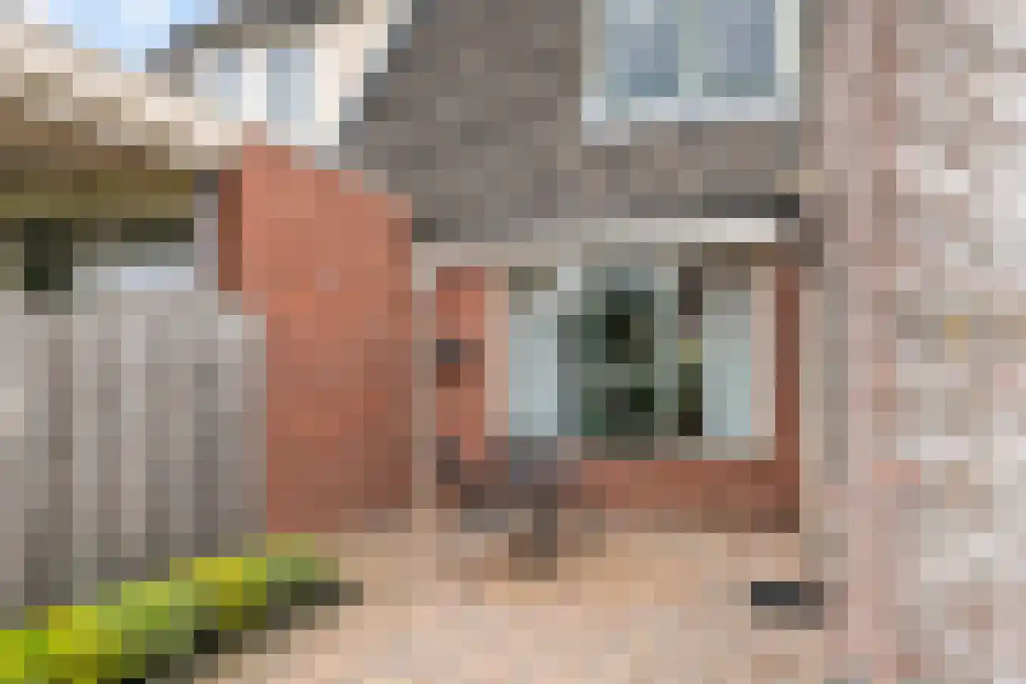 Buitenweg 36 Maurik thumbnail 42