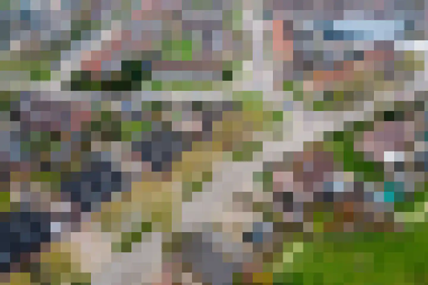 Buitenweg 36 Maurik thumbnail 43