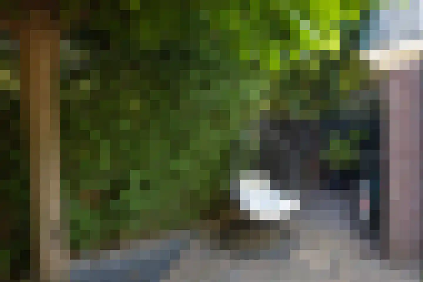 Buitenweg 40 Hengelo thumbnail 30