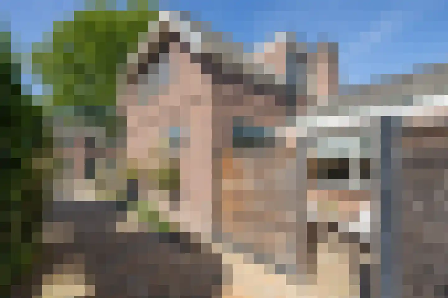 Buitenweg 40 Hengelo thumbnail 33