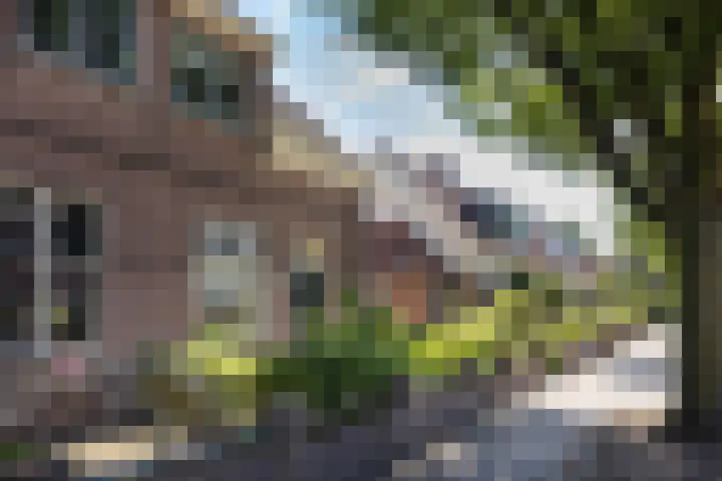 Buitenweg 40 Hengelo thumbnail 37