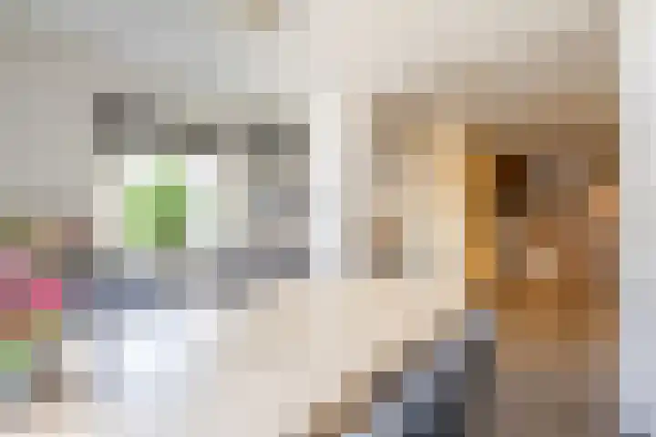 Buitenweg 43 Maurik thumbnail 10