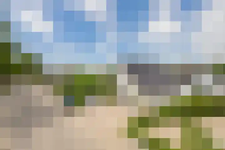 Buitenweg 43 Maurik thumbnail 46