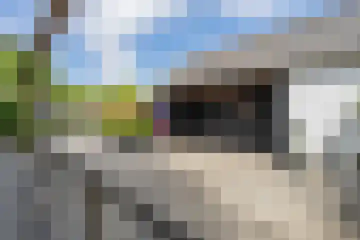 Buitenweg 43 Maurik thumbnail 61
