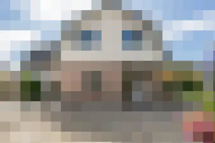 Buitenweg 43 Maurik thumbnail 64