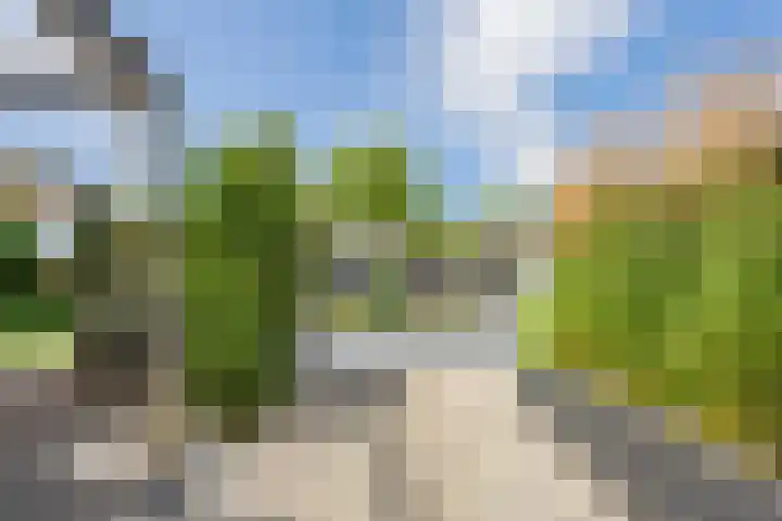 Buitenweg 43 Maurik thumbnail 66
