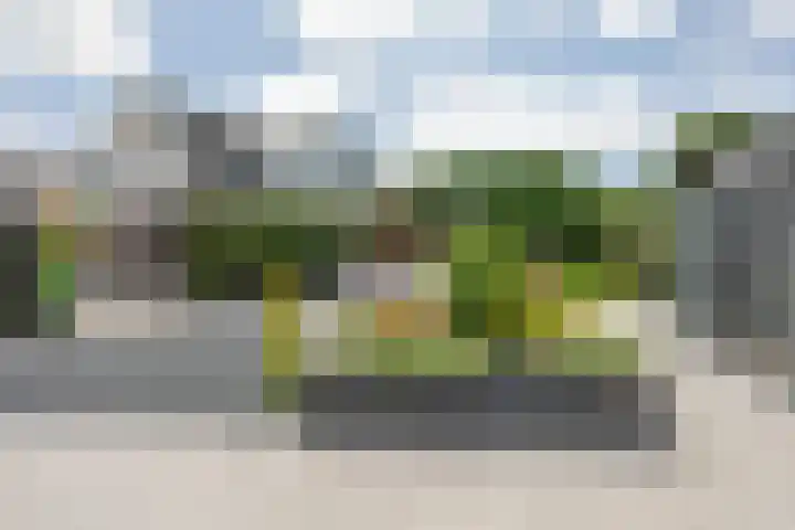 Buitenweg 43 Maurik thumbnail 69