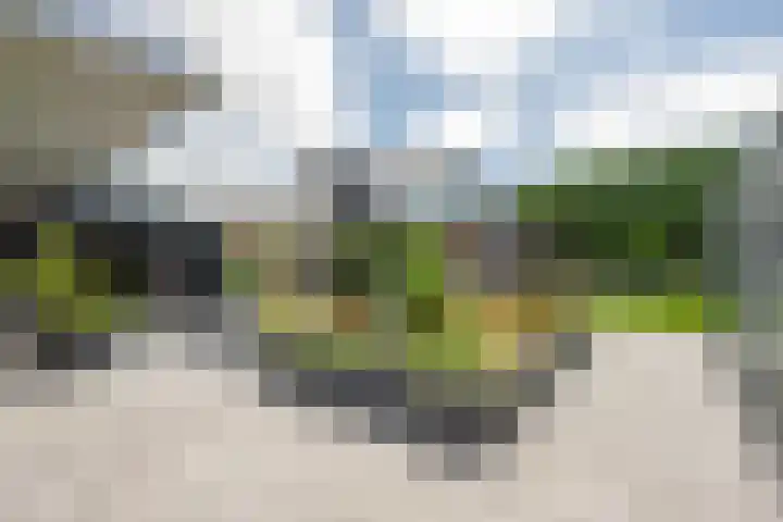 Buitenweg 43 Maurik thumbnail 71