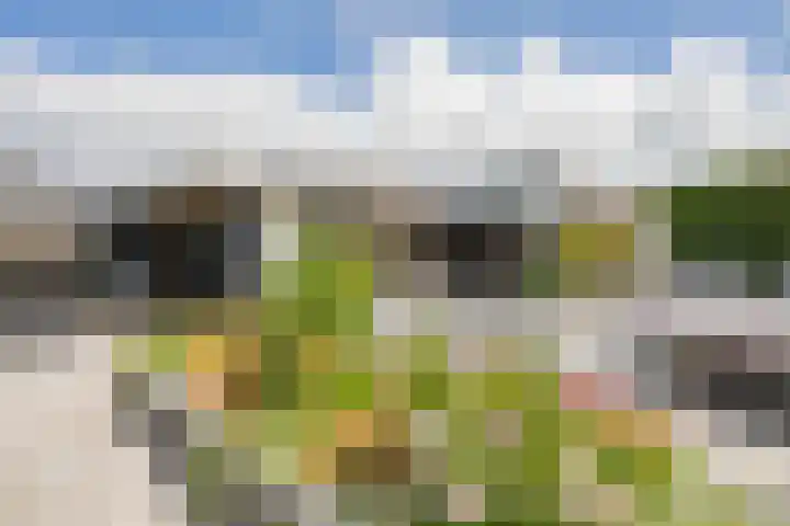 Buitenweg 43 Maurik thumbnail 74