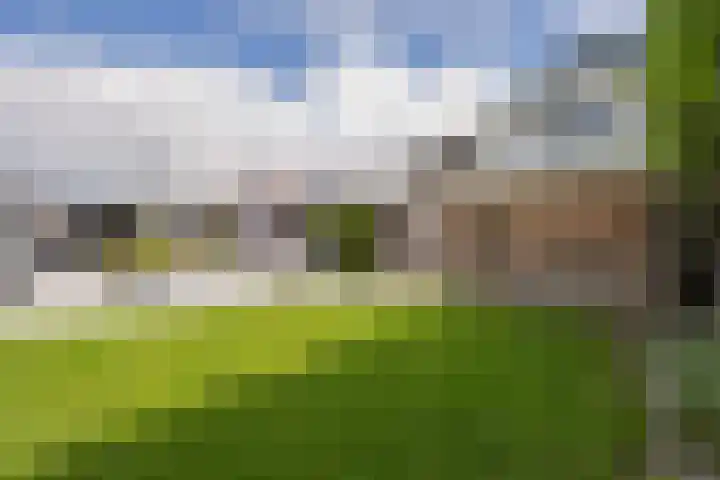 Buitenweg 43 Maurik thumbnail 75