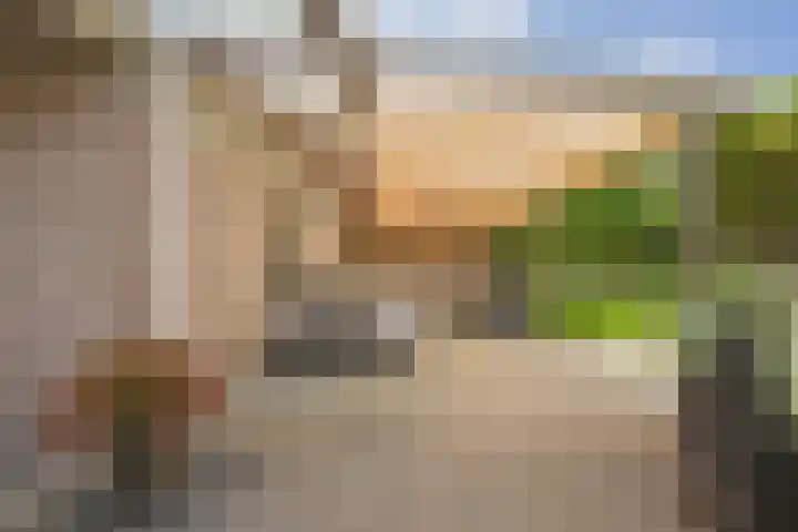 Buitenweg 43 Maurik thumbnail 83
