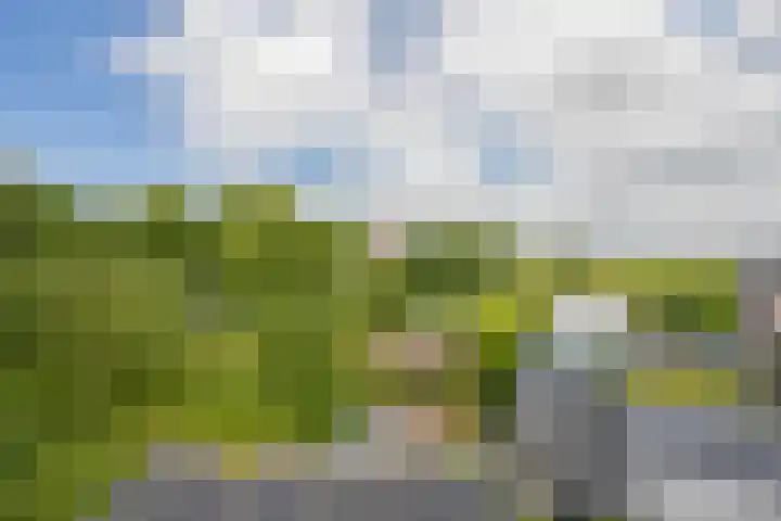 Buitenweg 43 Maurik thumbnail 85