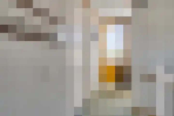Buitenweg 44 Maarssen thumbnail 28