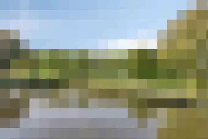Buitenweg 44 Maarssen thumbnail 32