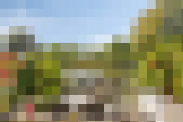 Buitenweg 44 Maarssen thumbnail 33