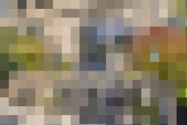 Buitenweg 44 Maarssen thumbnail 40