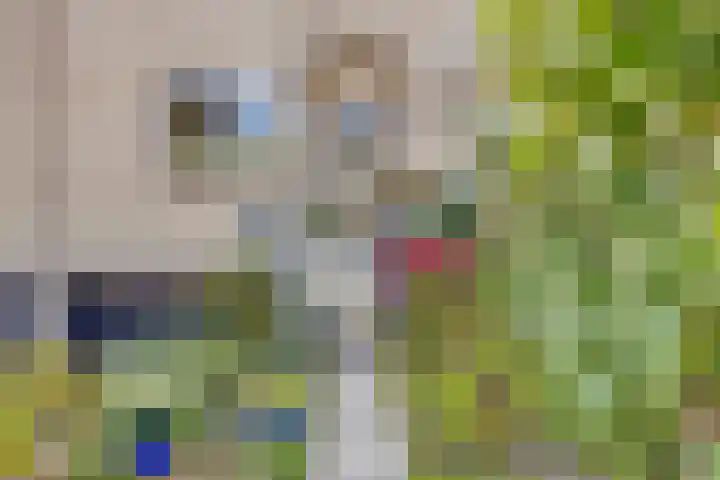 Buitenweg 44 Maarssen thumbnail 44