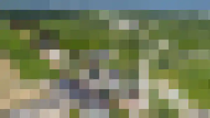 Buitenweg 49 Haaften thumbnail 4