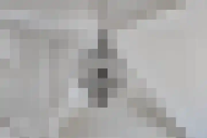 Buitenweg 49 Haaften thumbnail 41