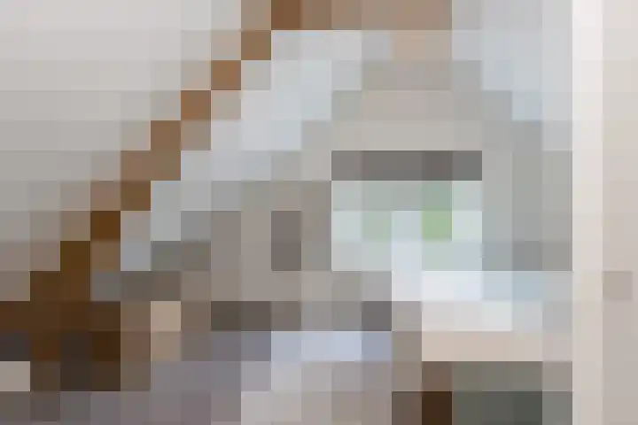 Buitenweg 49 Haaften thumbnail 43