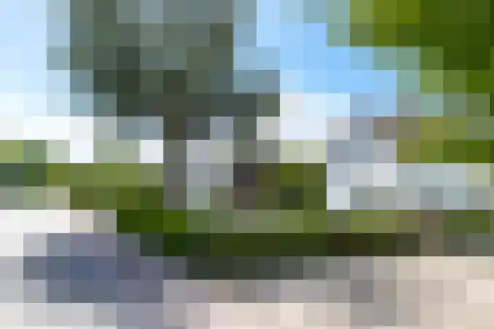 Buitenweg 49 Haaften thumbnail 61