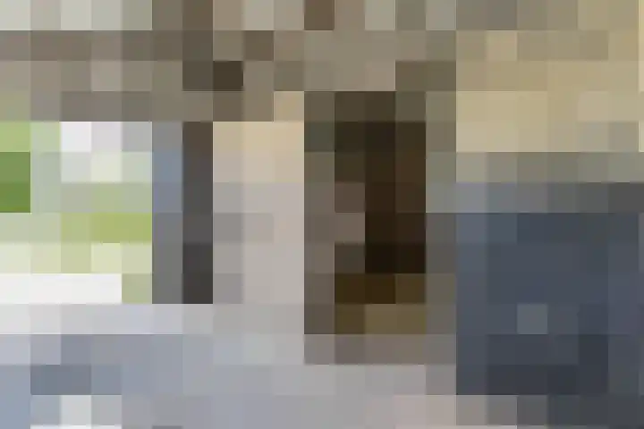 Buitenweg 49 Haaften thumbnail 69