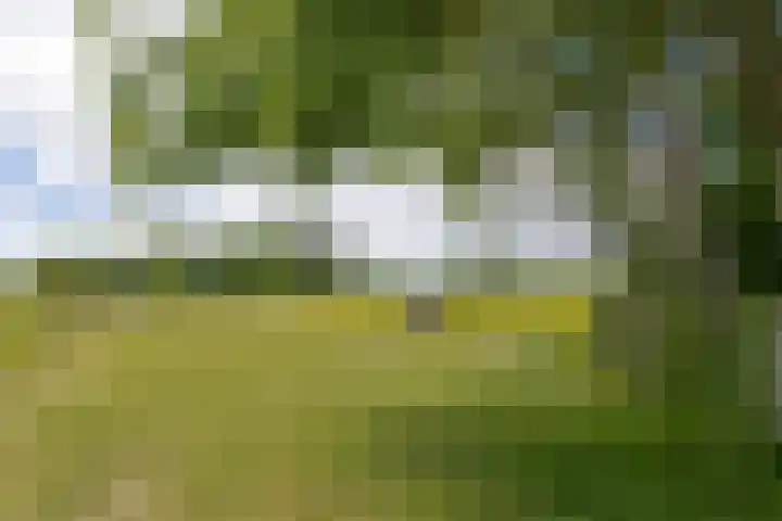 Buitenweg 49 Haaften thumbnail 70