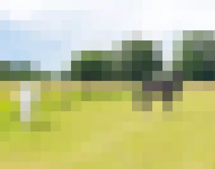 Buitenweg 49 Haaften thumbnail 71