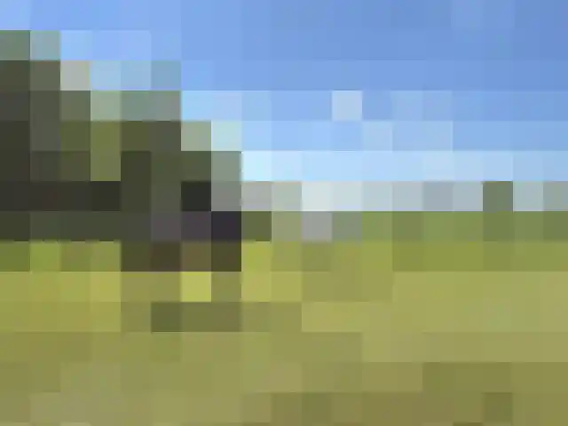 Buitenweg 49 Haaften thumbnail 73