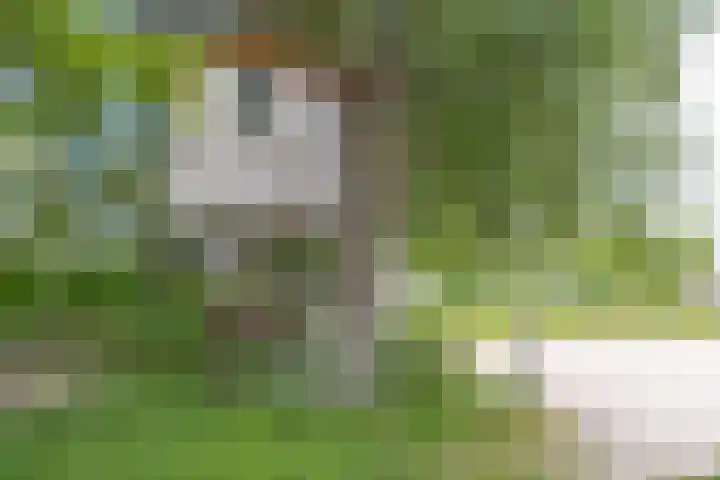 Buitenweg 49 Haaften thumbnail 75