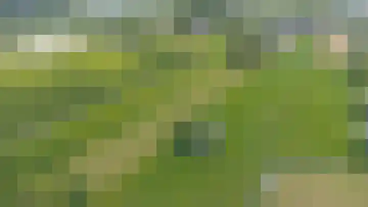 Buitenweg 49 Haaften thumbnail 76
