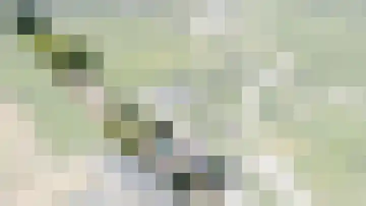 Buitenweg 49 Haaften thumbnail 77