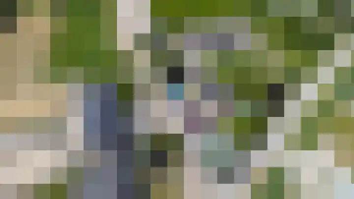 Buitenweg 49 Haaften thumbnail 79