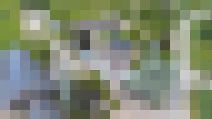 Buitenweg 49 Haaften thumbnail 81