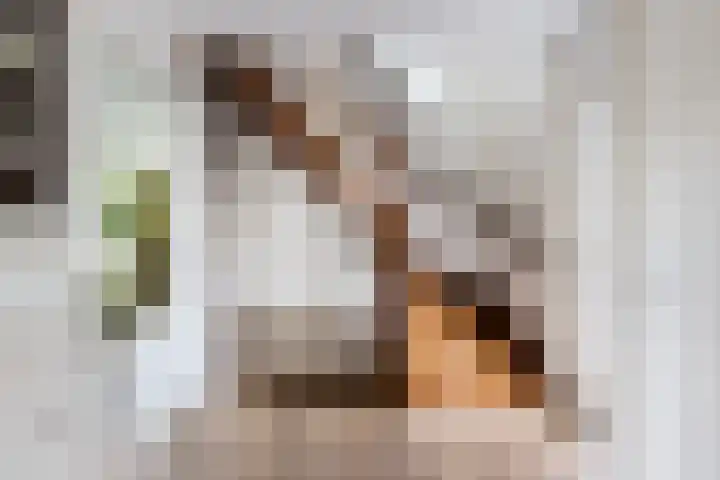 Buitenweg 49 Haaften thumbnail 9