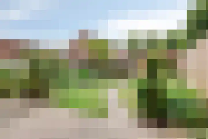 Buitenweg 58 Axel thumbnail 8