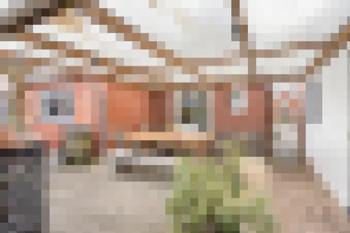 Buitenweg 59 Emmen thumbnail 33