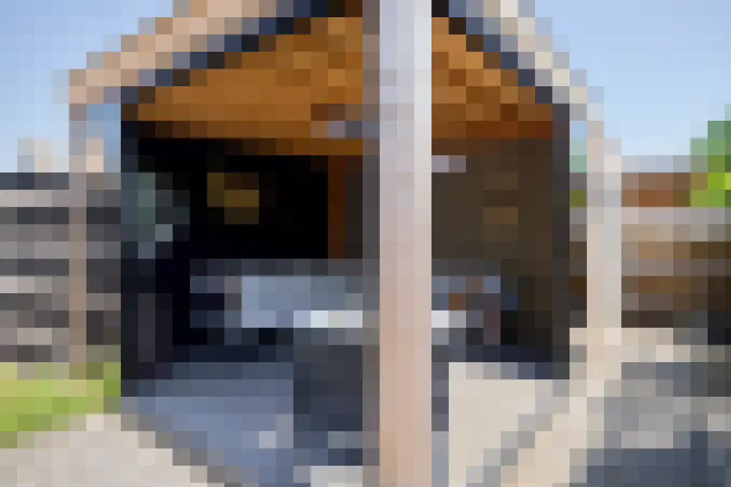 Buitenweg 63 Maarssen thumbnail 17
