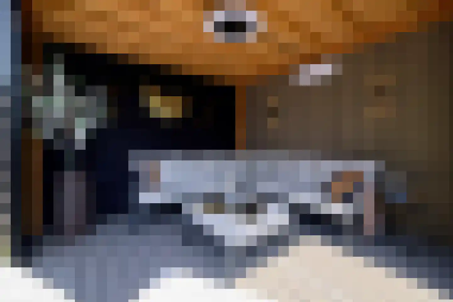 Buitenweg 63 Maarssen thumbnail 18