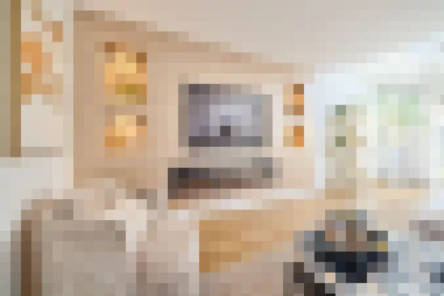 Buitenweg 63 Maarssen thumbnail 6